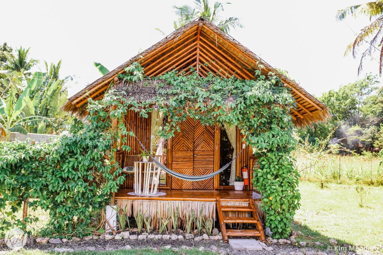 Tongo Hill Cottages Моалбоал Екстериор снимка